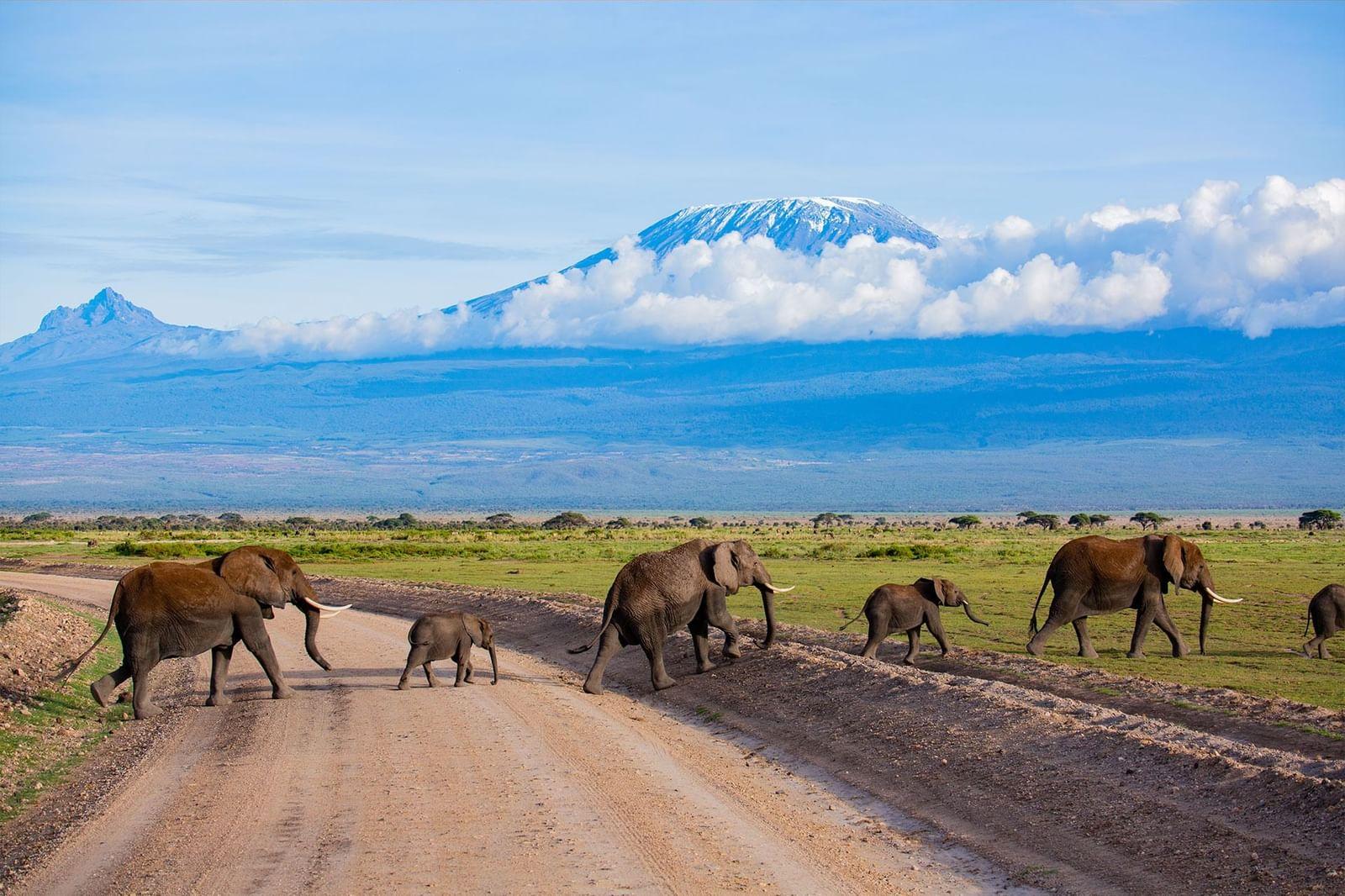 amboseli park