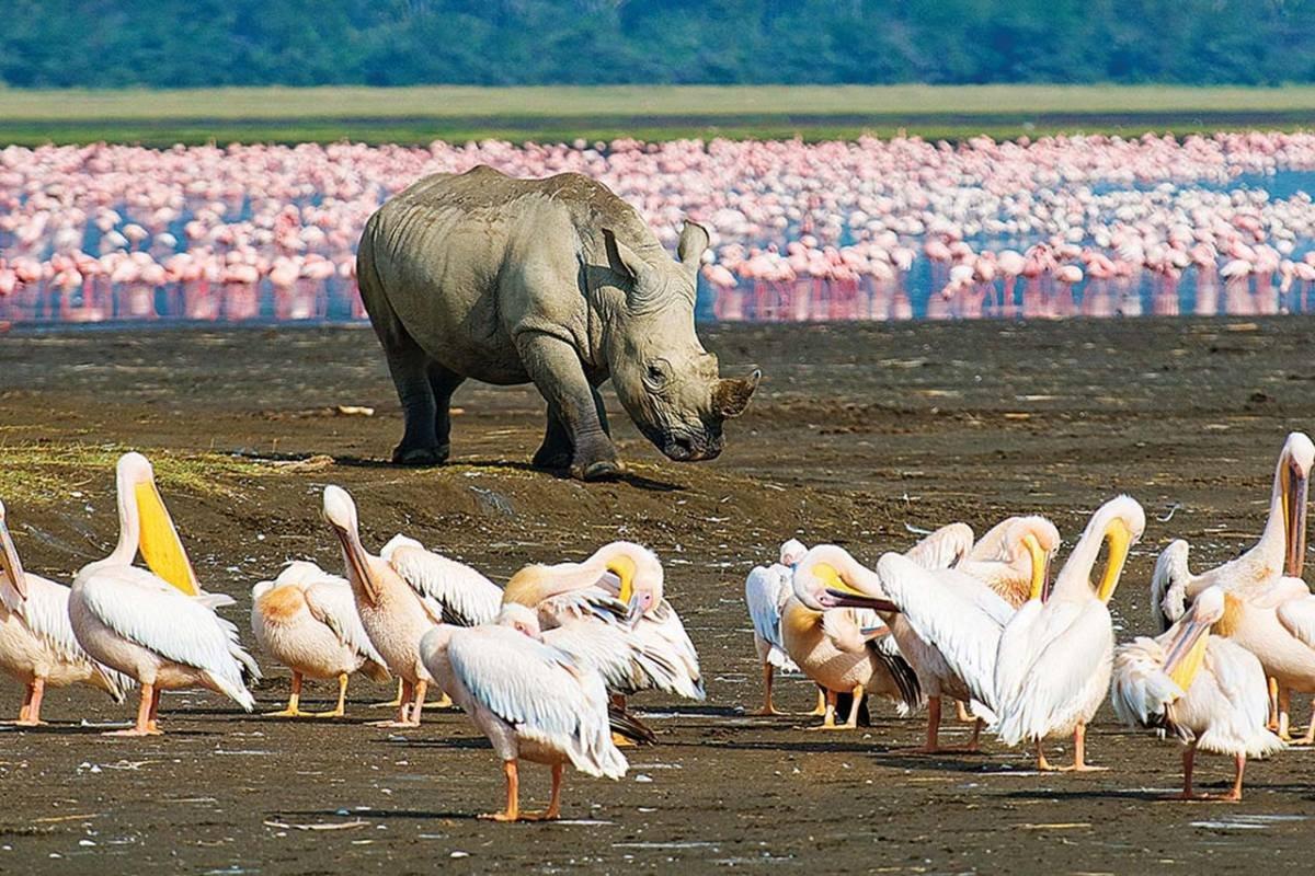 kenya na park