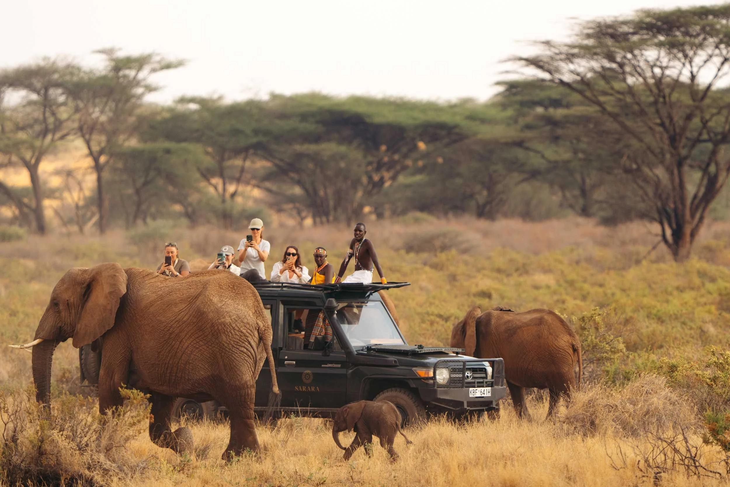 samburu north